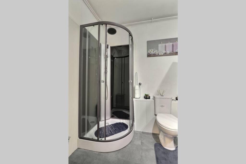 Апартаменти Studio Renov*Fibre*Parking 3 Min Gare De St-Louis Сен-Луї Екстер'єр фото